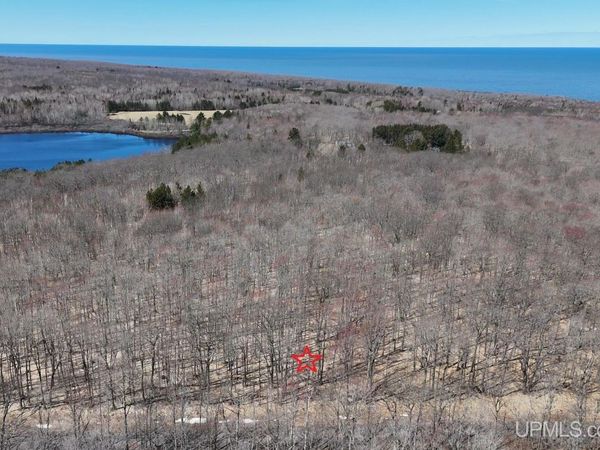 TBD75 S Tear Lake Road, Stanton Twp, MI 49931