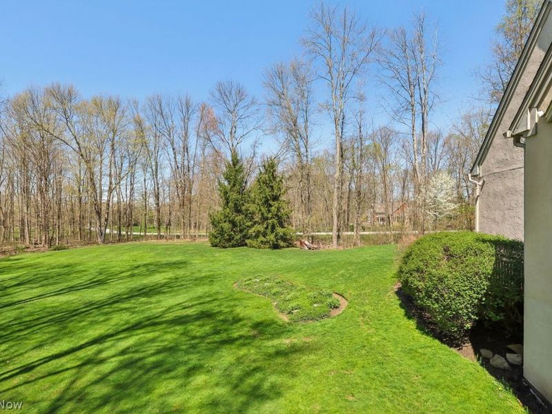 910 Cascades Drive, Aurora, OH 44202 Photo 39