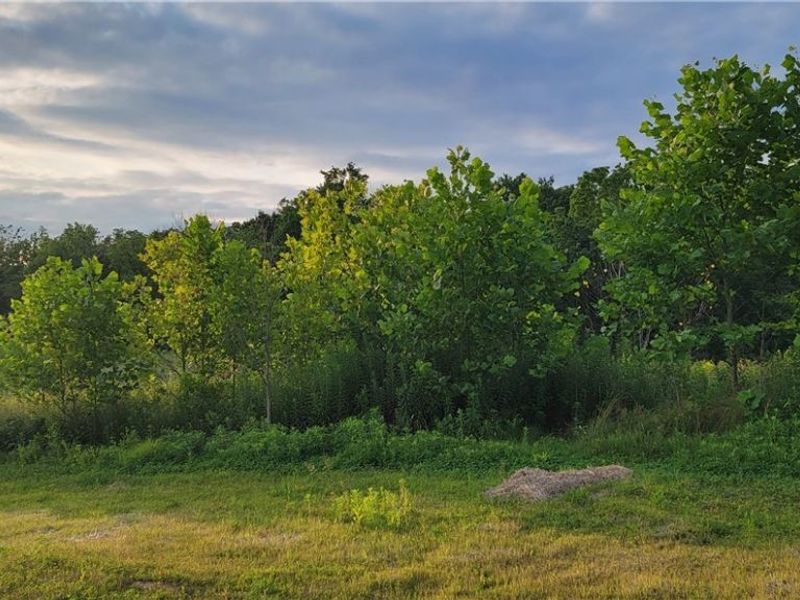 VL 2 Hidden Ridge Road, North Royalton, OH 44133 Photo 5