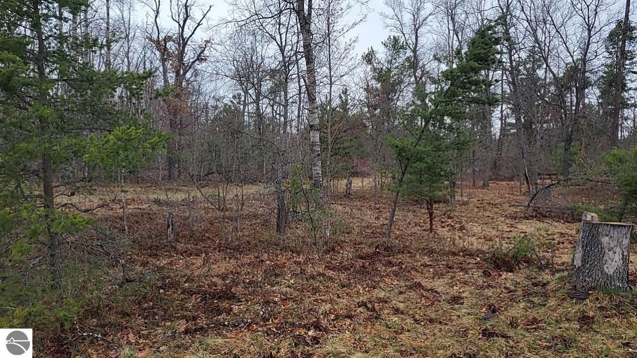 4031 Diamond Drive, Grayling, MI 49738 Main Photo