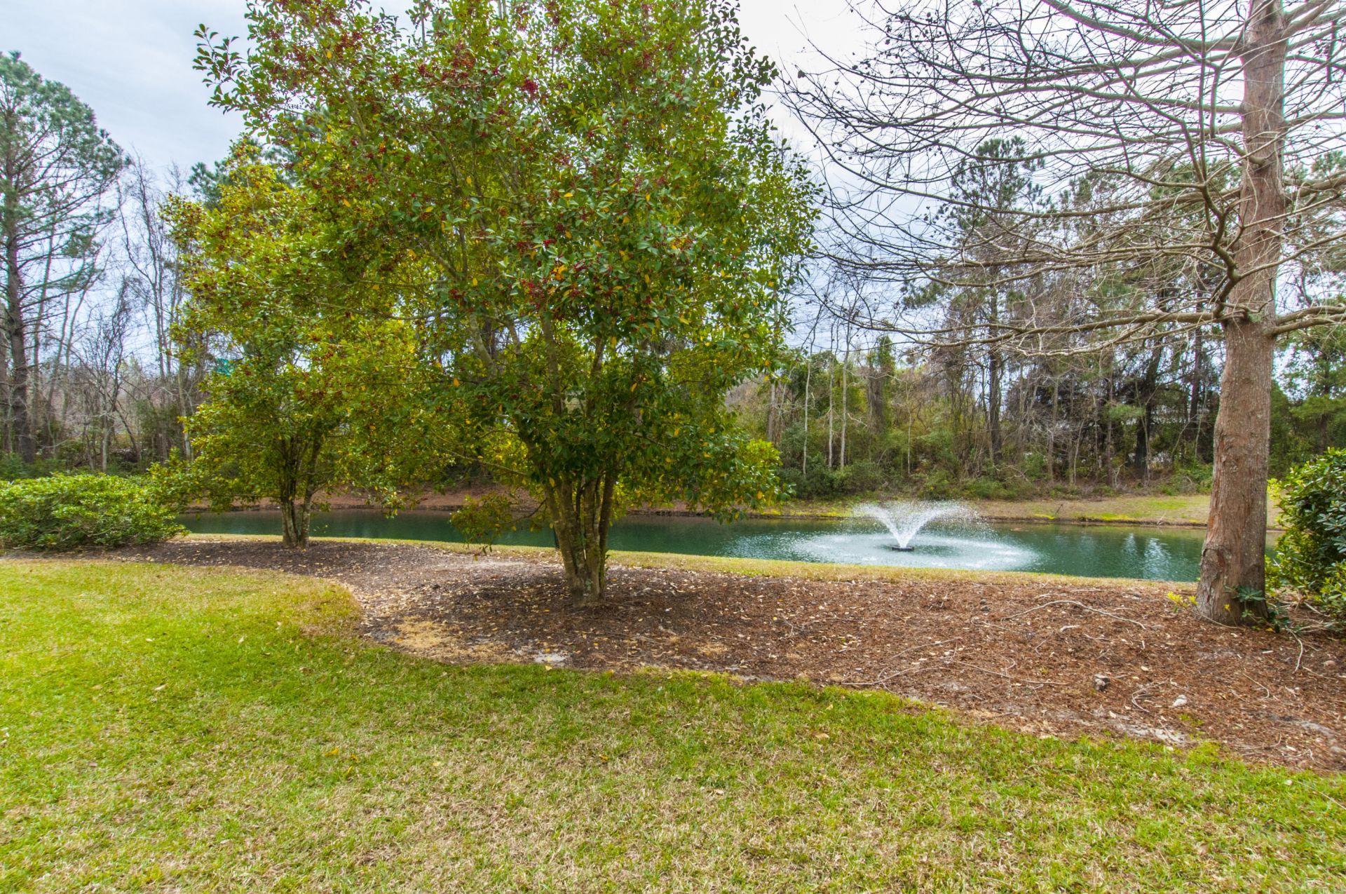 1212 Rosewood Lane Photo 32