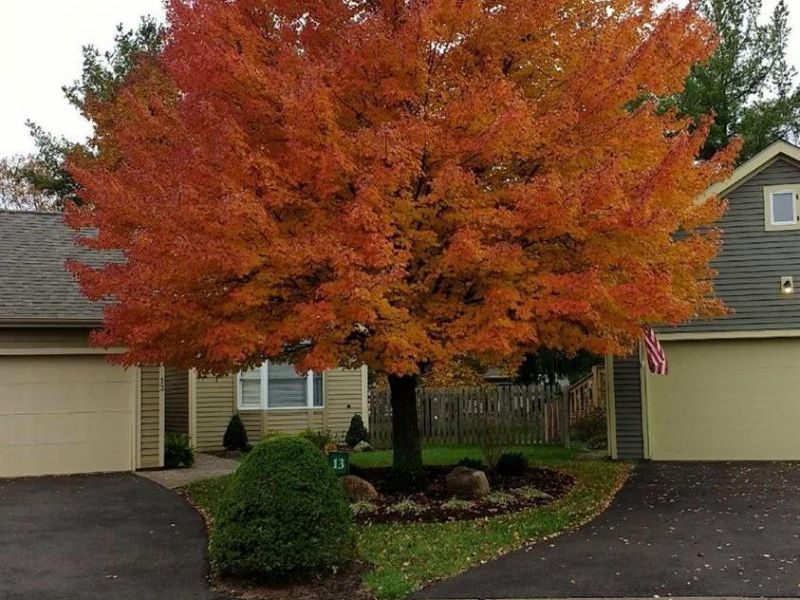 6195 Fairfield Road, Unit 13, Oxford, OH 45056 Photo 33