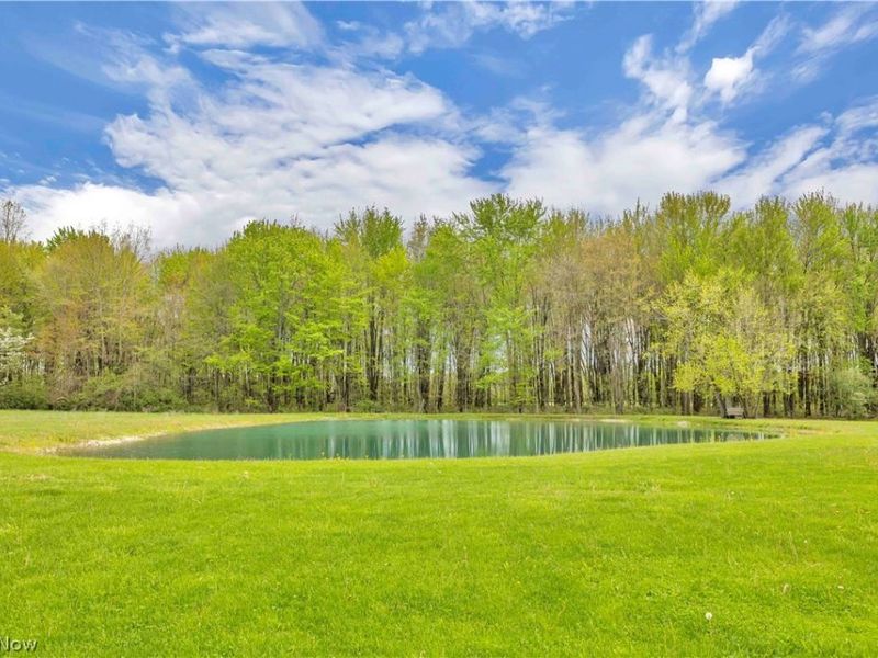 9110 Spieth Road, Litchfield, OH 44253 Photo 10