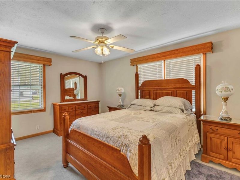 9110 Spieth Road, Litchfield, OH 44253 Photo 23