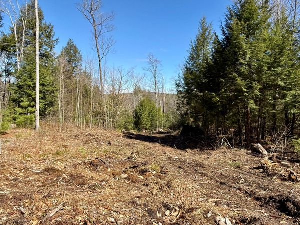 Map8Lot53B Buckfield Road , Paris, ME 04271