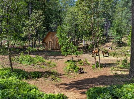 7207 Wentworth Springs Rd, Georgetown, CA 95634 Photo