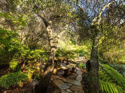 2620 Vineyard Dr, Auburn, CA 95603 Photo