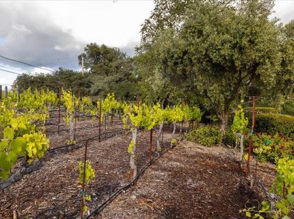 2620 Vineyard Dr, Auburn, CA 95603 Photo