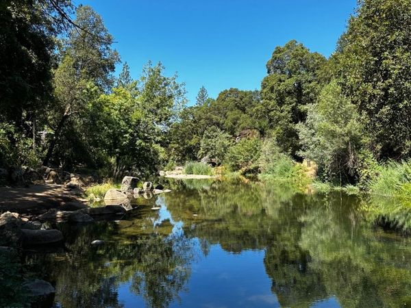 14745 River Trail, River Pines, CA 95675