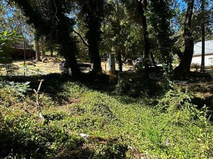 14745 River Trail, River Pines, CA 95675 Photo