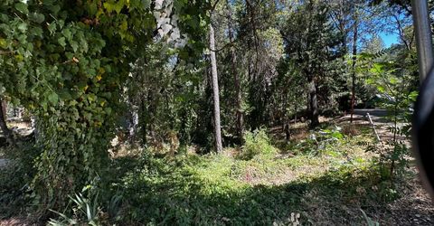 14745 River Trail, River Pines, CA 95675 Photo