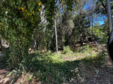 14745 River Trail, River Pines, CA 95675 Photo