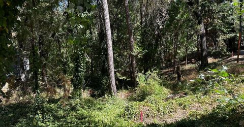 14745 River Trail, River Pines, CA 95675 Photo