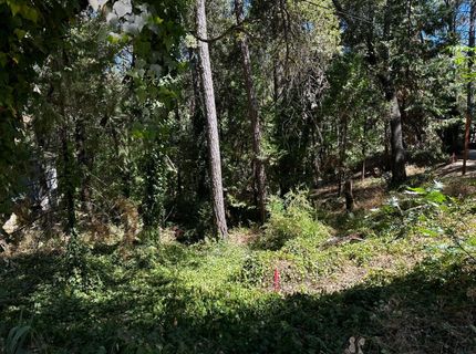 14745 River Trail, River Pines, CA 95675 Photo
