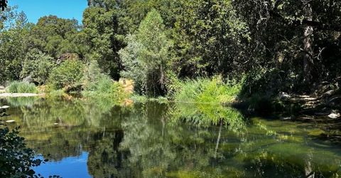 14745 River Trail, River Pines, CA 95675 Photo