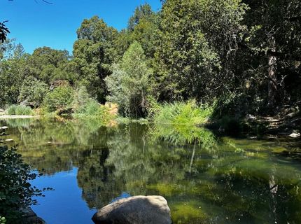 14745 River Trail, River Pines, CA 95675 Photo