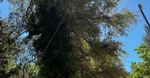 14745 River Trail, River Pines, CA 95675 Photo
