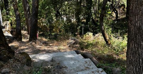 14745 River Trail, River Pines, CA 95675 Photo