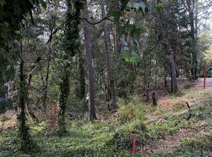 14745 River Trail, River Pines, CA 95675 Photo