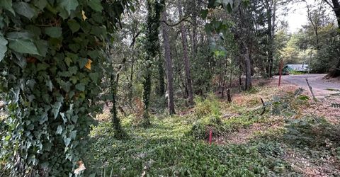 14745 River Trail, River Pines, CA 95675 Photo