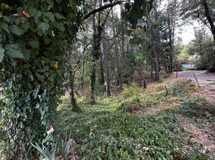 14745 River Trail, River Pines, CA 95675 Photo