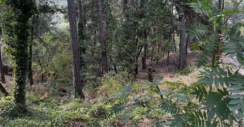 14745 River Trail, River Pines, CA 95675 Photo
