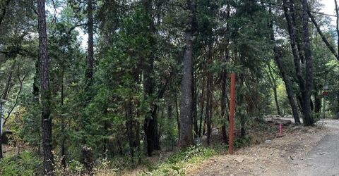 14745 River Trail, River Pines, CA 95675 Photo