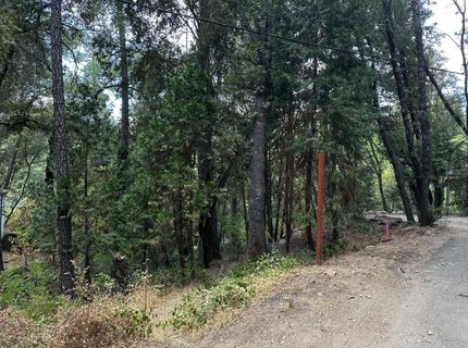14745 River Trail, River Pines, CA 95675 Photo