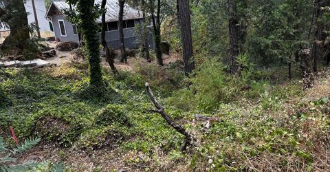 14745 River Trail, River Pines, CA 95675 Photo