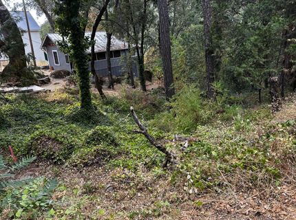 14745 River Trail, River Pines, CA 95675 Photo