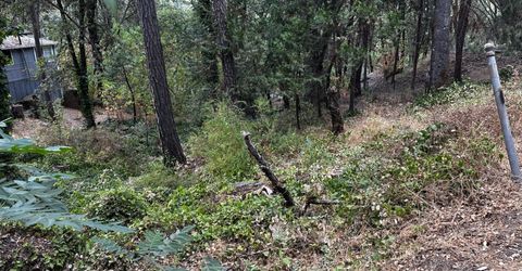 14745 River Trail, River Pines, CA 95675 Photo