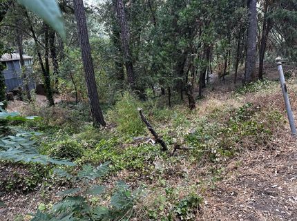 14745 River Trail, River Pines, CA 95675 Photo