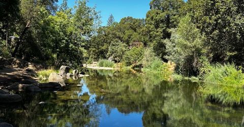 14745 River Trail, River Pines, CA 95675 Photo