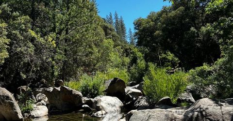 14745 River Trail, River Pines, CA 95675 Photo
