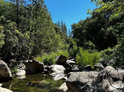 14745 River Trail, River Pines, CA 95675 Photo