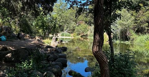 14745 River Trail, River Pines, CA 95675 Photo