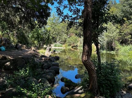 14745 River Trail, River Pines, CA 95675 Photo