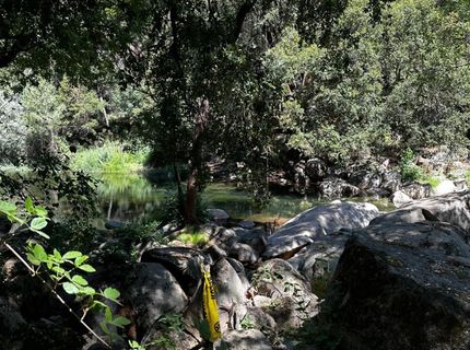 14745 River Trail, River Pines, CA 95675 Photo