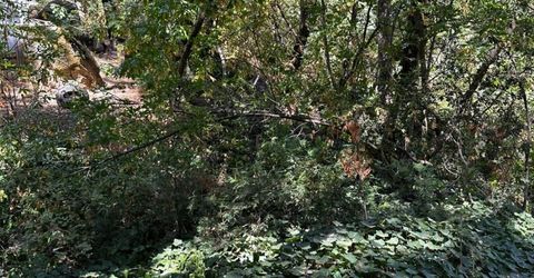 14745 River Trail, River Pines, CA 95675 Photo