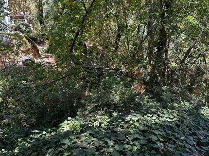 14745 River Trail, River Pines, CA 95675 Photo