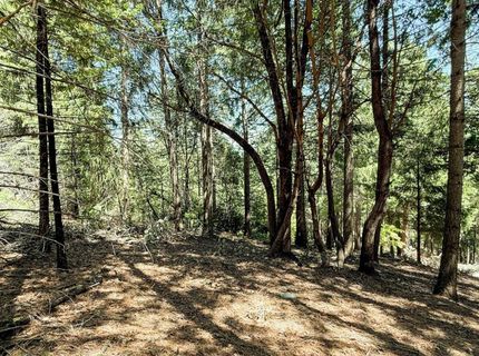 18910 Circle View, Pioneer, CA 95666 Photo