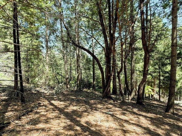 18910 Circle View, Pioneer, CA 95666