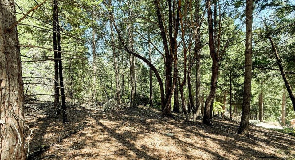 18910 Circle View, Pioneer, CA 95666 Photo
