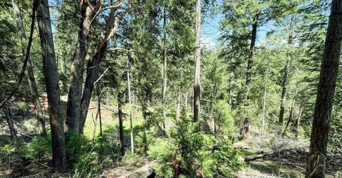 18910 Circle View, Pioneer, CA 95666 Photo