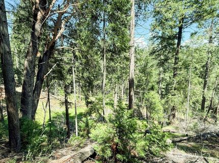 18910 Circle View, Pioneer, CA 95666 Photo