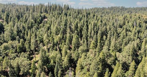 18910 Circle View, Pioneer, CA 95666 Photo