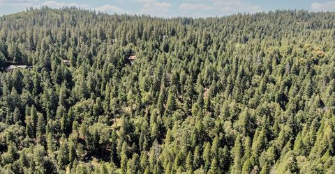 18910 Circle View, Pioneer, CA 95666 Photo