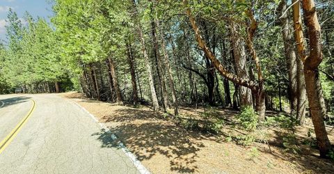 18910 Circle View, Pioneer, CA 95666 Photo