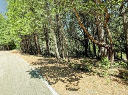 18910 Circle View, Pioneer, CA 95666 Photo