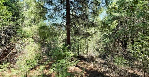 18910 Circle View, Pioneer, CA 95666 Photo